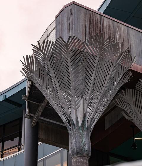 nikau